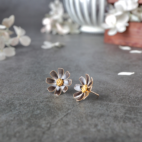 秋桜 －Cosmos－ 7枚目の画像