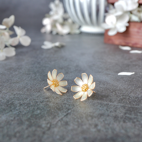 秋桜 －Cosmos－ 5枚目の画像