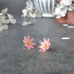 秋桜 －Cosmos－ 4枚目の画像