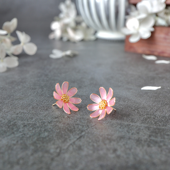 秋桜 －Cosmos－ 4枚目の画像