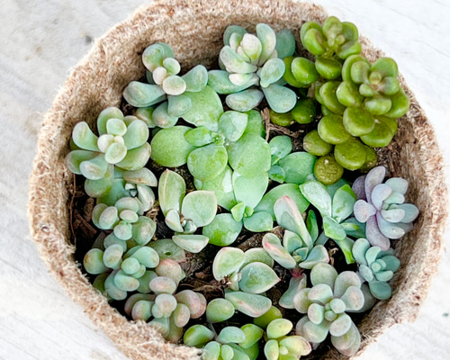 f51f7bc827cd9f6f5a8e5e16d54b25