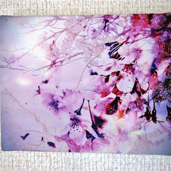 「桜舞う」コンパクト　ミニ　アート　桜　ピンク　キャンバス　プリント　カンバス　花　華やか　春　ギフト　写真　かわいい 6枚目の画像