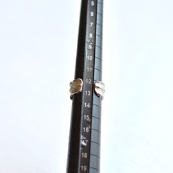 漂木戒指和袖口鍍銠塗層 SV925 #Free size 第5張的照片