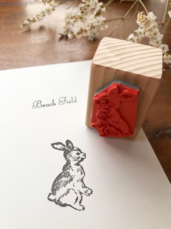 兔子郵票 第1張的照片