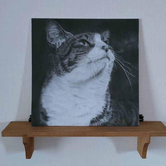 ハンサム猫の鉛筆画 2枚目の画像