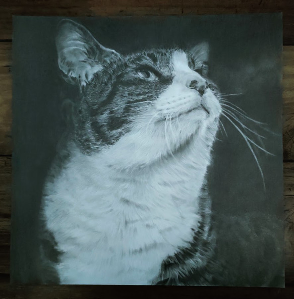 ハンサム猫の鉛筆画 1枚目の画像