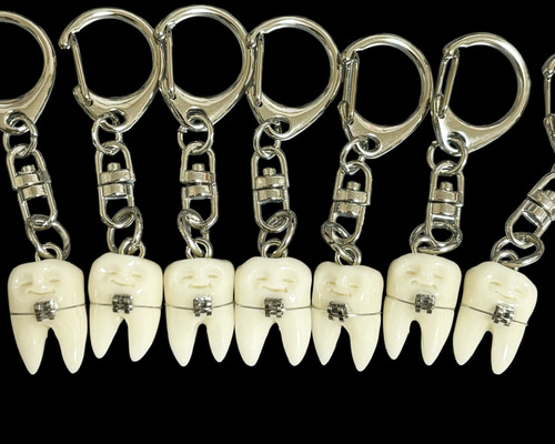 ダリエ様 入れ歯キーホルダー オーダーページ 🦷レザーキーホルダーの福袋 🦷入れ歯のチャーム 🦷歯のチャーム