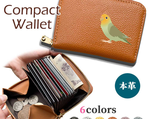 ここさ６本セット imgrc0083134193.jpg