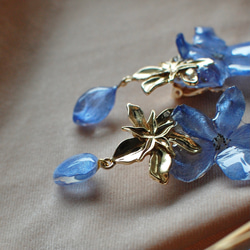 花びらの雫滴る✴︎夕陽色に輝く青色デルフィニウム・ピアス・イヤリング 3枚目の画像