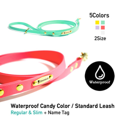 衛生的な防水リード Candy Color ネームプレート付き 2枚目の画像