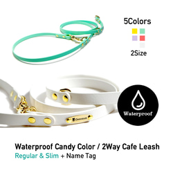 衛生的な防水2Way Cafeリード Candy Color ネームプレート付き 1枚目の画像