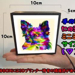 わんちゃんページ も〜 on X