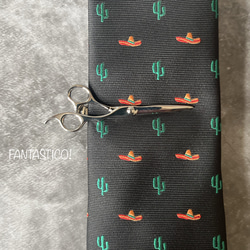 【僕の好きなことネクタイ】メキシカンハットとサボテン柄刺繍ネクタイ♪プレゼント ギフトプレゼント テンガロン多肉植物 8枚目の画像