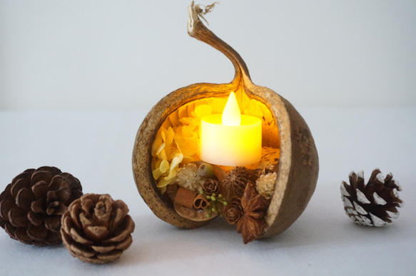 【Creema限定】木の実の小さな灯火〜幸せのブッタナッツ〜 3枚目の画像