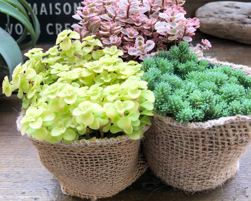 4c73150c7978b499a123dd21cbc5b6