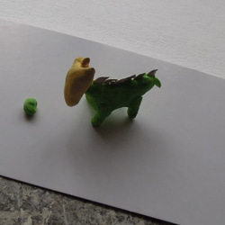 恐竜になった子犬と空まめ 2枚目の画像