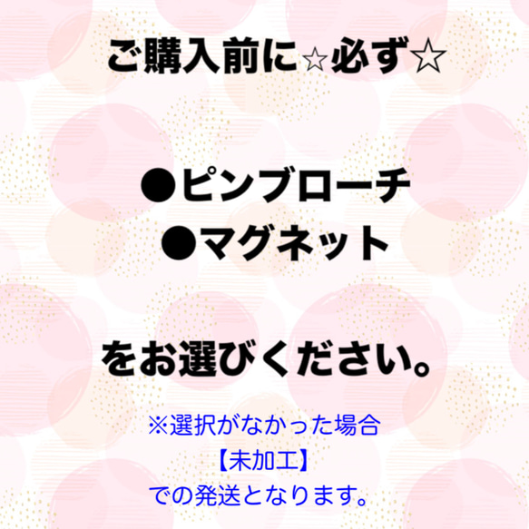 読書の秋　セキセイインコ　ブローチ/マグネット 6枚目の画像