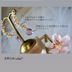 源氏物語シリーズ「紫の上〜Jewelry ver〜」【総14kgf】 3枚目の画像