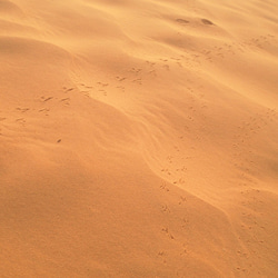 突尼斯布x帆布扁袋（沙漠彩虹/綠松石色） 第8張的照片