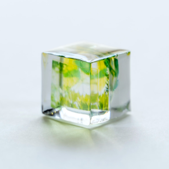 小さい小さいみどりの葉の箱　＜ レジン 透明 キューブ グリーン 植物 写真モチーフ ナチュラル さわやか＞ 3枚目の画像