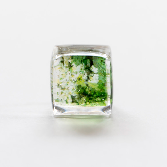 小さい小さいみどりと小花の箱　＜レジン 透明 キューブ グリーン 植物 写真モチーフ ナチュラル 大人かわいい＞ 1枚目の画像
