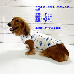 数量限定！ タンクトップ カワウソ 【ネイビーブルー】  Dog 犬服 ドッグウェア 秋～春　カワウソ 動物 8枚目の画像