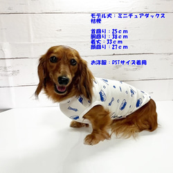 数量限定！ タンクトップ カワウソ 【ネイビーブルー】  Dog 犬服 ドッグウェア 秋～春　カワウソ 動物 7枚目の画像