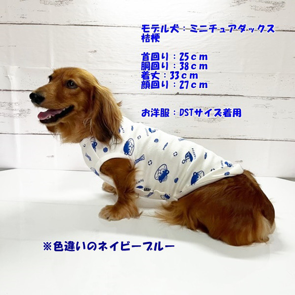 数量限定！ タンクトップ カワウソ 【アイスグリーン】  Dog 犬服 ドッグウェア 秋～春　カワウソ 動物 8枚目の画像