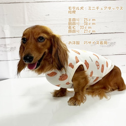 数量限定！ タンクトップ くまのパン屋さん 【ミルク】  Dog 犬服 ドッグウェア 秋～春　くま パン 7枚目の画像