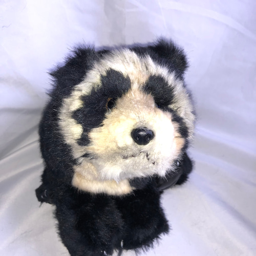 受注生産・メガネグマのぬいぐるみ ぬいぐるみ 風間翔 通販 14512943