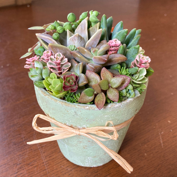 そばかす リメイク鉢 お花 リメイク鉢【ドットフラワー(黒