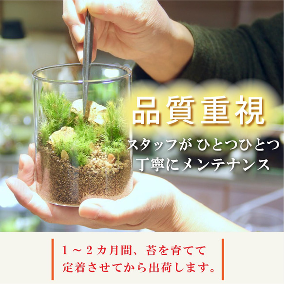 mimosa様専用（L-canister+ミニハイカー男） 6枚目の画像