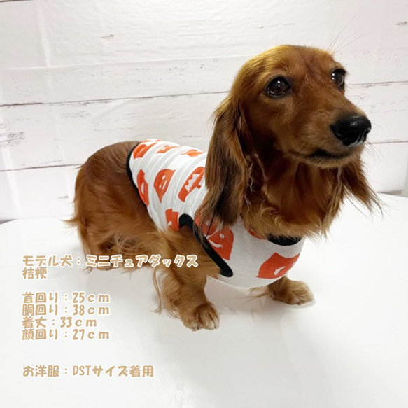 【NEW】 タンクトップ ハロウィン ゴースト【オフホワイト】 Dog 犬服 ドッグウェア 秋～春　ハロウィン  おばけ 8枚目の画像