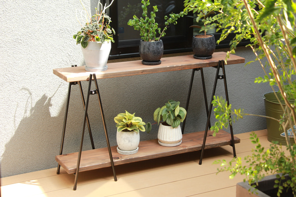 アイアンシェフル（鉄脚のみ）植物棚　塊根植物　観葉植物　フラワースタンド　家具　棚　インテリア 