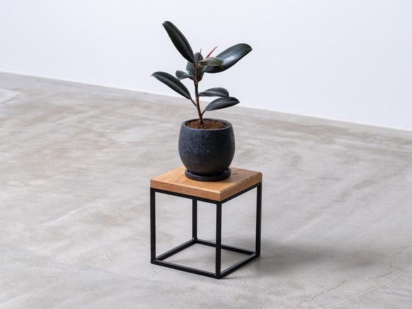 プランタースタンド プランターBOX 植物棚 多肉植物 観葉植物