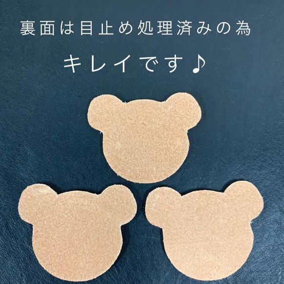  第3張的照片