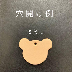  第4張的照片