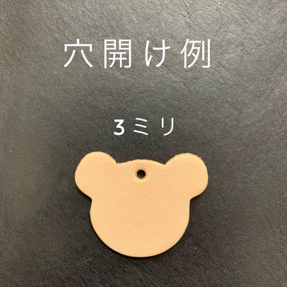  第4張的照片