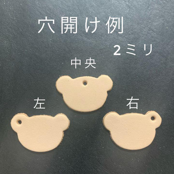  第5張的照片