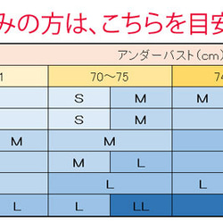  第5張的照片