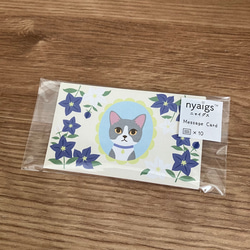 \new/秋季新作品 10 張留言卡與 Hachiwareneko 和 Kikyo ◇* 第5張的照片