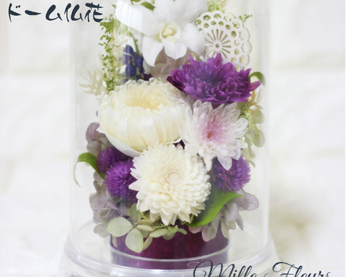 ドーム 和菊仏花 白 紫 お供え 菊 四十九日 プリザーブド