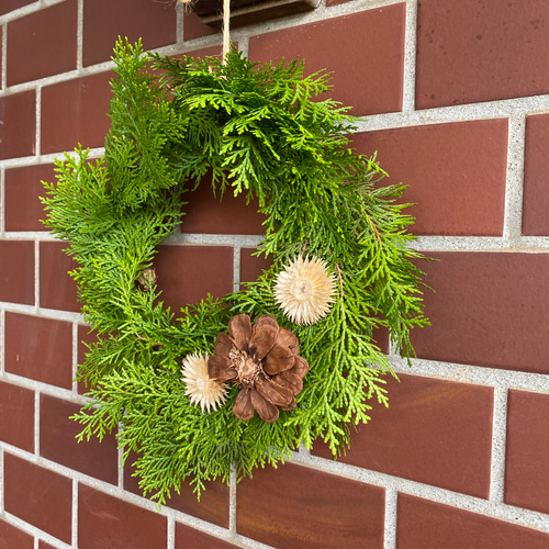 フレッシュコニファー グリーンリース W 21 ドライフラワー ドライ