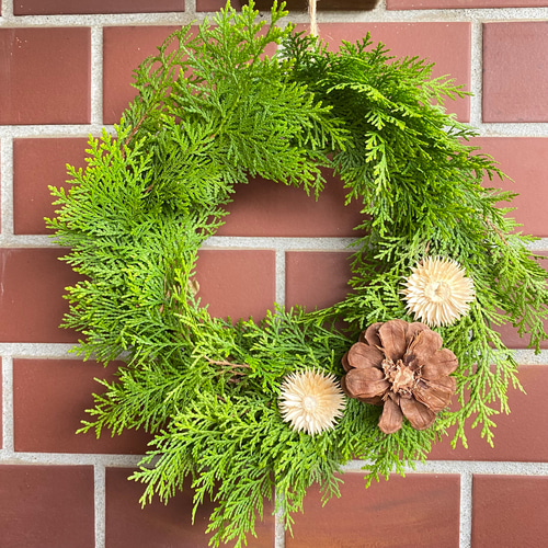 フレッシュコニファー グリーンリース W 21 ドライフラワー ドライ