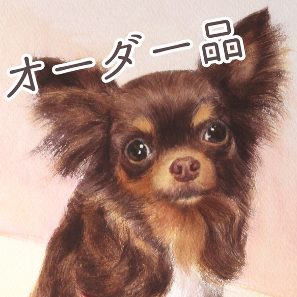 アンジュチビママさまオーダー品【A4鉛筆画1匹→水彩画/変更】 1枚目の画像