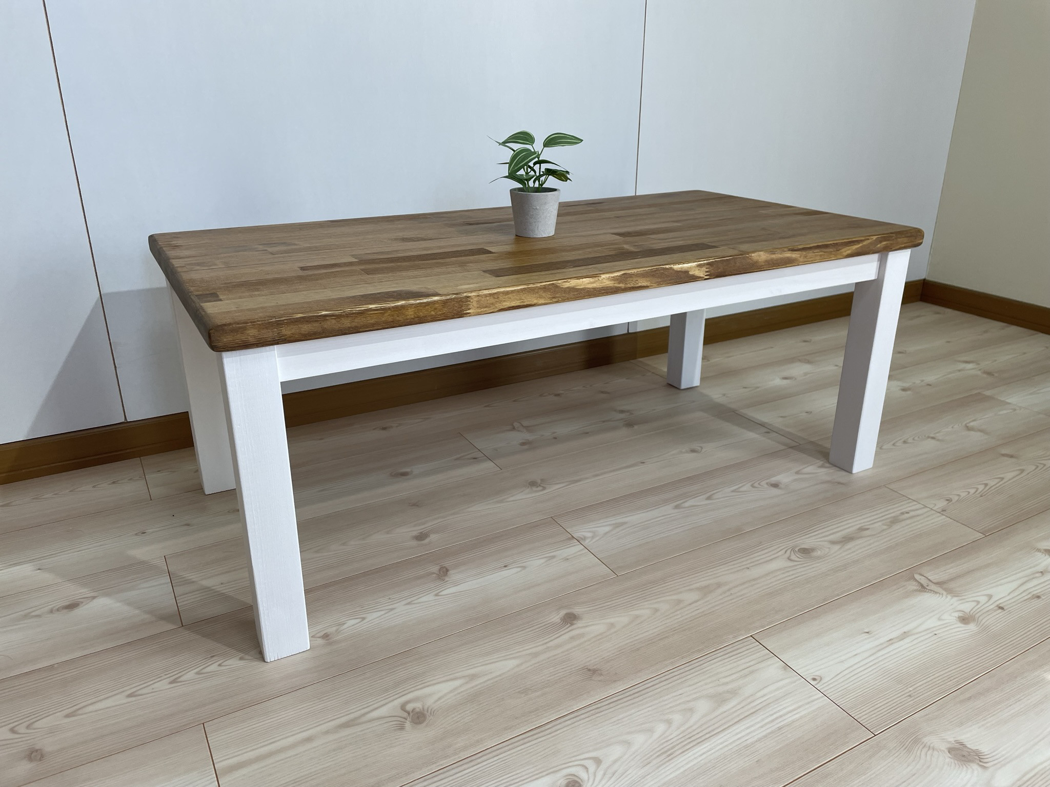 サイズオーダー可】木のぬくもり感じるロ―テーブル N×ディキシーブルー