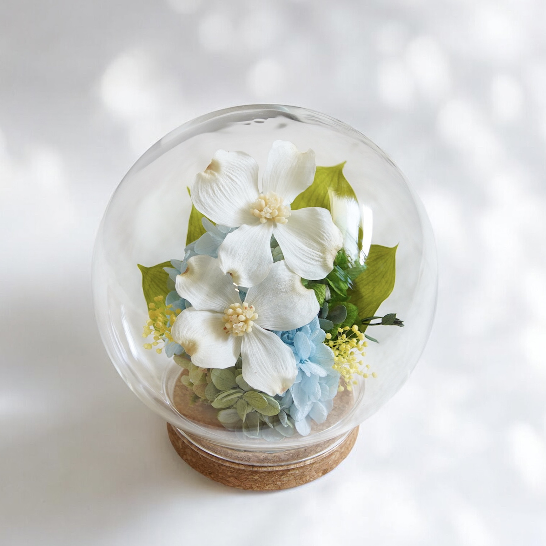 【完成品】プリザーブドフラワー｜ハナミズキのガラスドームM 4,455円