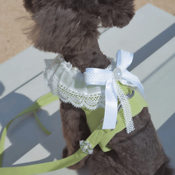 Lace Collar Harness + Leash (Flower Petal Pink) 4枚目の画像