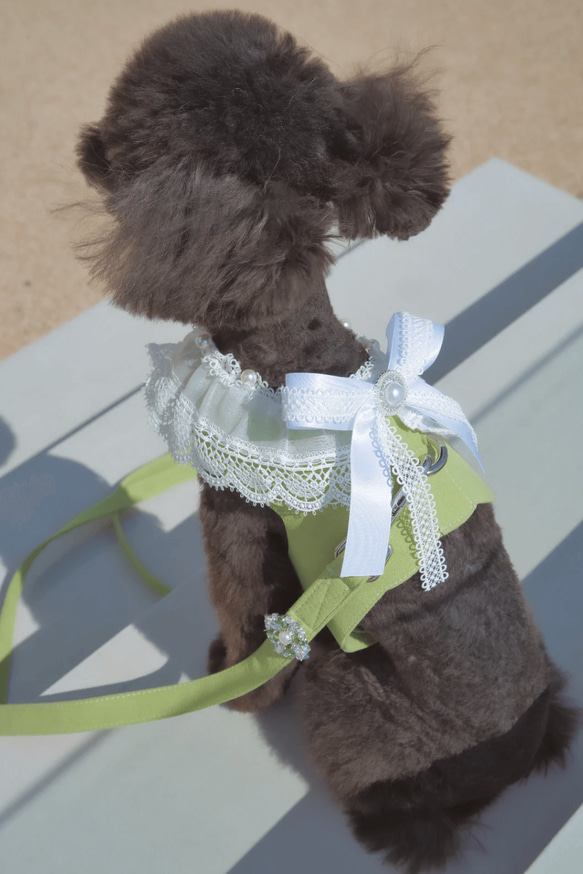 Lace Collar Harness + Leash (Flower Petal Pink) 4枚目の画像