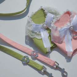 Lace Collar Harness + Leash (Flower Petal Pink) 10枚目の画像